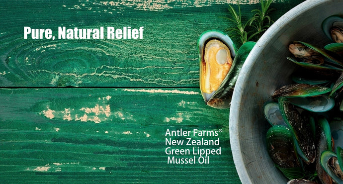 Antler Farms New Zealand Green Lipped Mussel Oil