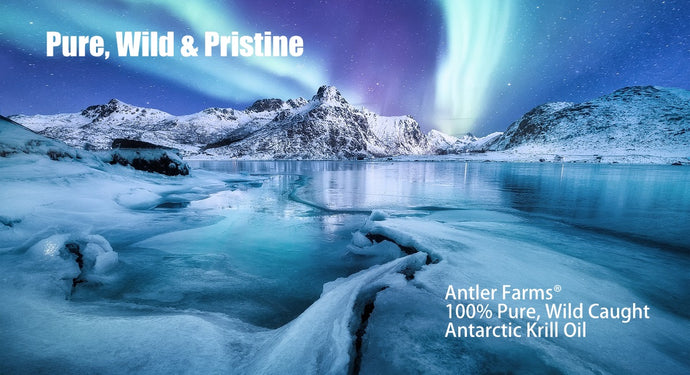 Antler Farms Antarctic Krill Oil