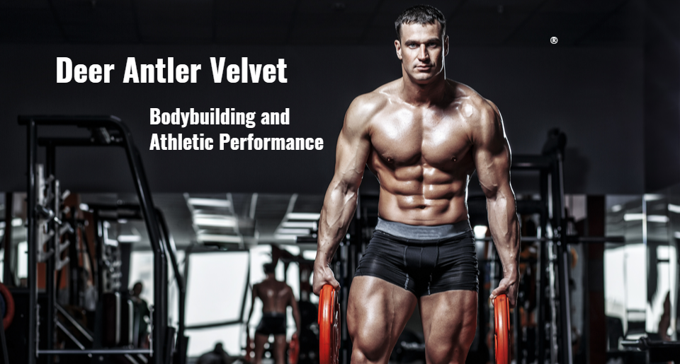 Deer Antler Velvet Supplements for Exercise and Athletic Performance -  StoryMD