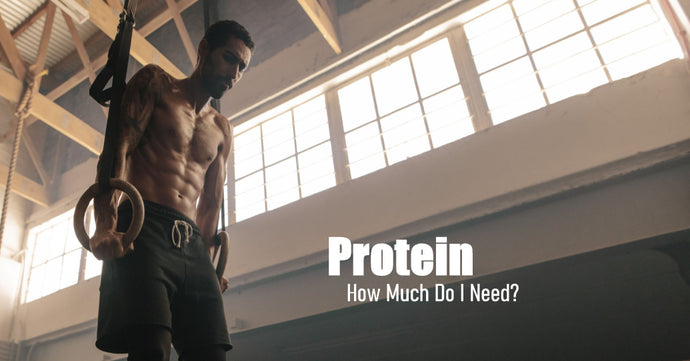 How Much Protein Do I Need?
