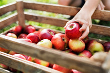Load image into Gallery viewer, Apple Cider Vinegar