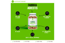 Load image into Gallery viewer, Fadogia Agrestis