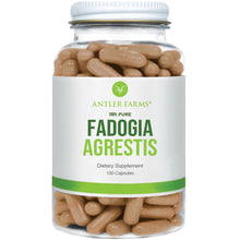 Load image into Gallery viewer, Fadogia Agrestis
