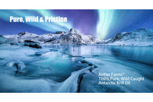 Load image into Gallery viewer, Antarctic Krill Oil
