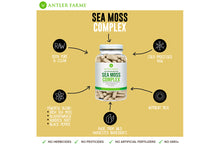 Load image into Gallery viewer, Sea Moss Complex