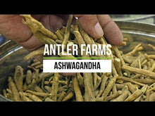 Load and play video in Gallery viewer, Ashwagandha