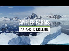 Load and play video in Gallery viewer, Antarctic Krill Oil
