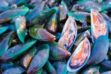 Load image into Gallery viewer, New Zealand Green Lipped Mussel Oil