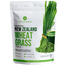 Load image into Gallery viewer, New Zealand Wheat Grass