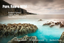 Load image into Gallery viewer, Sea Moss Complex