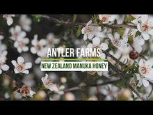 Load and play video in Gallery viewer, New Zealand Manuka Honey 10+ UMF
