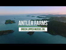 Load and play video in Gallery viewer, New Zealand Green Lipped Mussel Oil