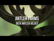 Load and play video in Gallery viewer, New Zealand Deer Antler Velvet - 2 Bottles