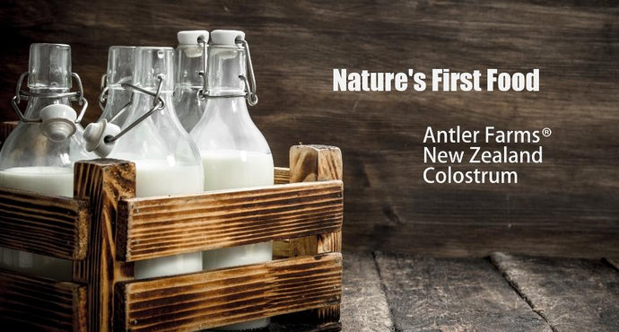 Antler Farms New Zealand Colostrum