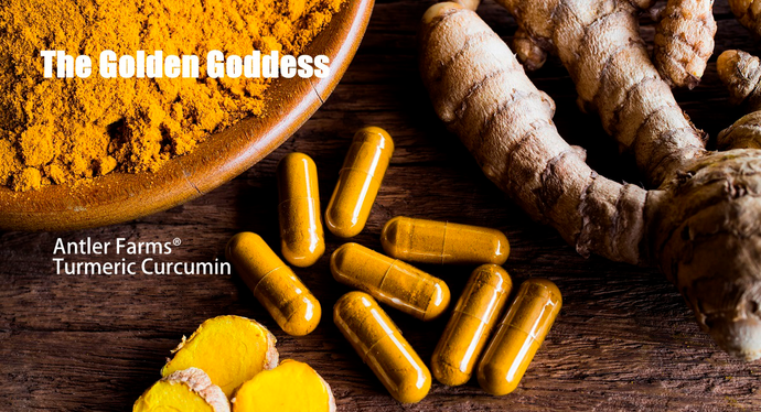 Antler Farms Turmeric Curcumin