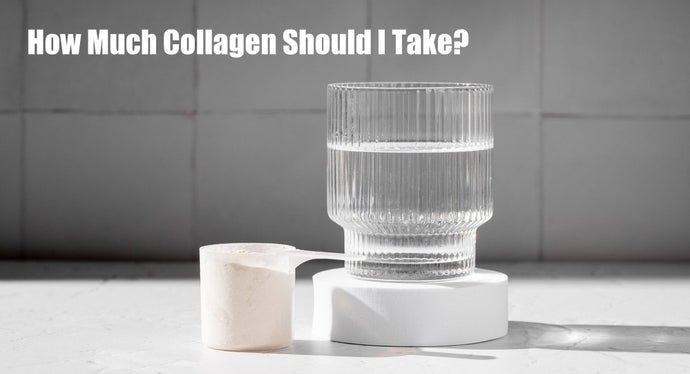 Collagen Dosage Guide: How Much Should You Take?