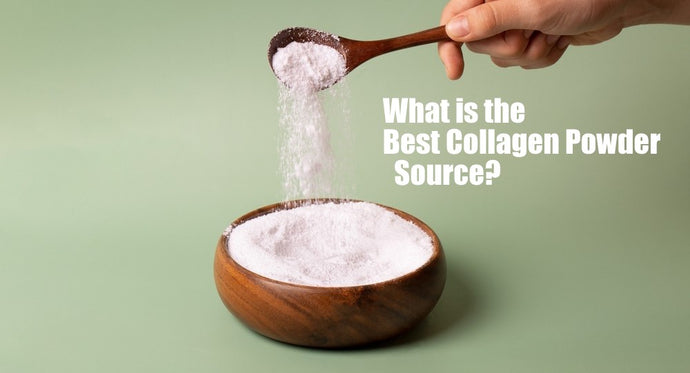 What Is the Best Collagen Powder Source?