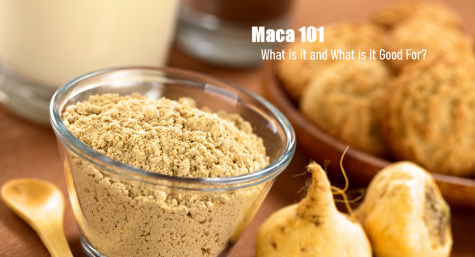 Maca 101 - What is it and What is it Good For?
