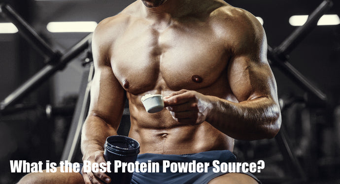 What is the Best Protein Powder Source?