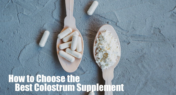 How to Choose the Best Colostrum Supplement