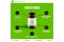 Load image into Gallery viewer, Turkesterone
