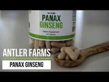 Load and play video in Gallery viewer, Panax Ginseng
