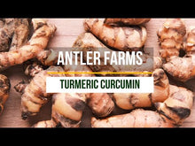 Load and play video in Gallery viewer, Turmeric Curcumin
