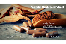 Load image into Gallery viewer, 8X Mushroom Complex
