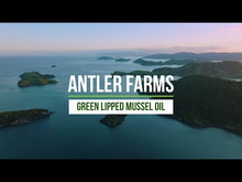Load and play video in Gallery viewer, New Zealand Green Lipped Mussel Oil
