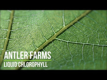 Load and play video in Gallery viewer, Liquid Chlorophyll
