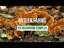 Load and play video in Gallery viewer, 8X Mushroom Complex
