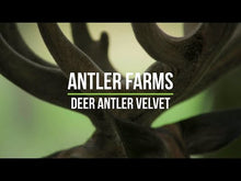 Load and play video in Gallery viewer, New Zealand Deer Antler Velvet - 2 Bottles
