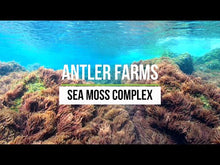 Load and play video in Gallery viewer, Organic Sea Moss Complex
