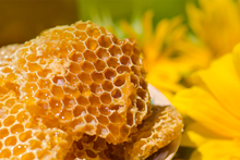 Load image into Gallery viewer, New Zealand Manuka Honey 10+ UMF
